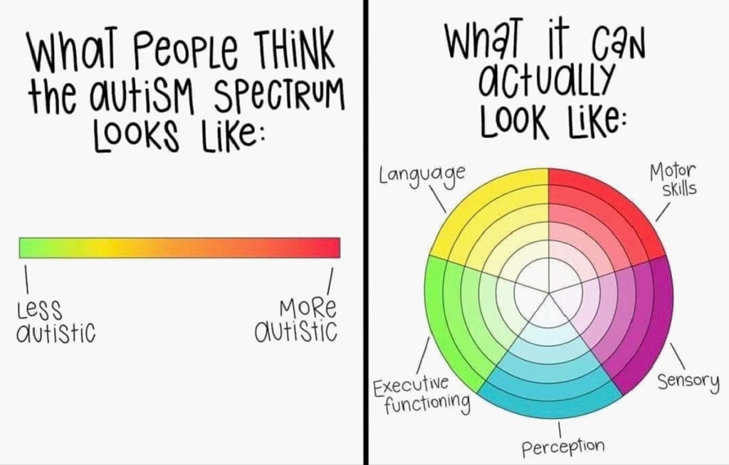 An image with two parts. The first part on the left is labeled "what people think the Autism spectrum looks like:" over a straight line, colored in a gradient from green to yellow to orange to red, labeled "less autistic" on the left and "more autistic" on the right. The second part ont he right is labeled "What it can actually look like:" and has a circle in rainbow colors, with the labels "language", "motor skills", "sensory", "perception", and "executive functioning".